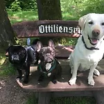 Akzent Zur Post Tabarz