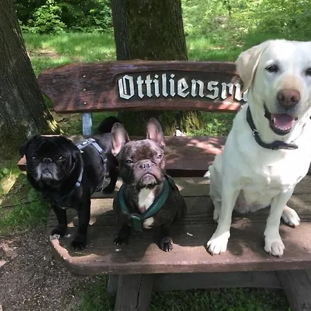 Akzent Zur Post 塔巴尔茨