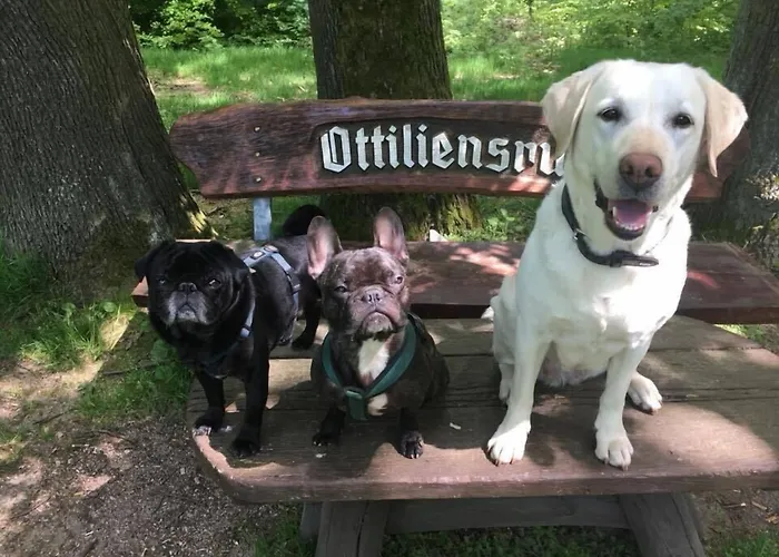 Akzent Zur Post 타바르즈